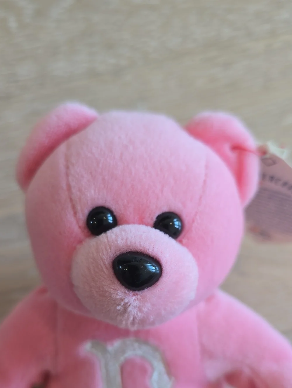 Boston Red Sox MLB Pink Beanie and Pink Embroidered 'B' Plush Bear Set